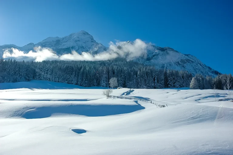 Hinter dem Alpenhof Wolayersee gibt es eine eigene Rodelstrecke. Rodeln können ausgeborgt werden.