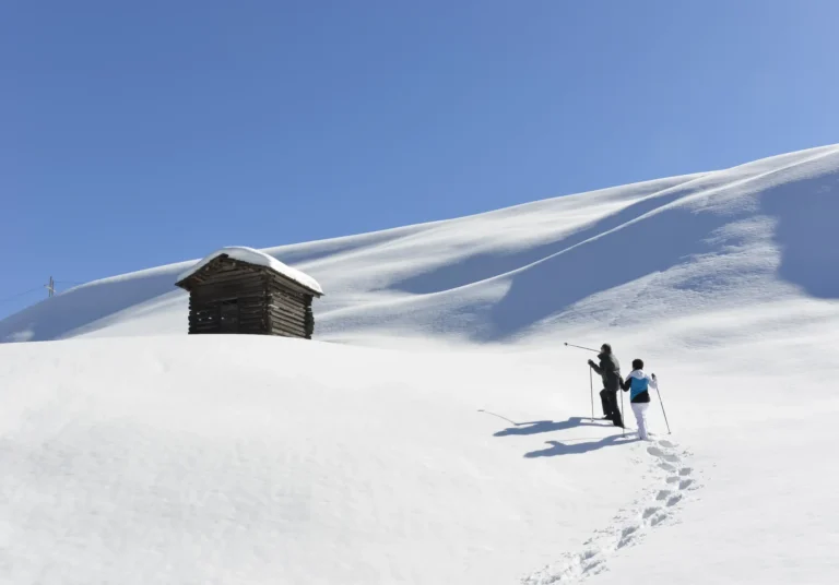 Schneeschuhe für Ihre Tour sind für unsere Gäste im Alpenhof Wolayersee leihweise erhältlich!